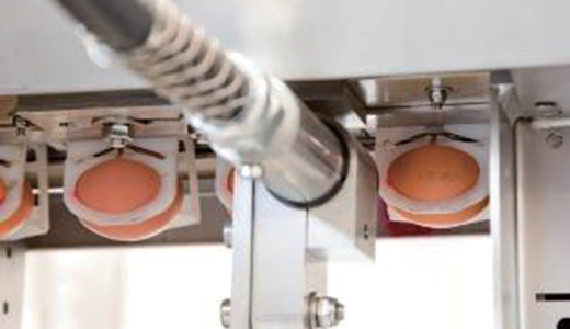 蛋品分級(jí)機(jī)