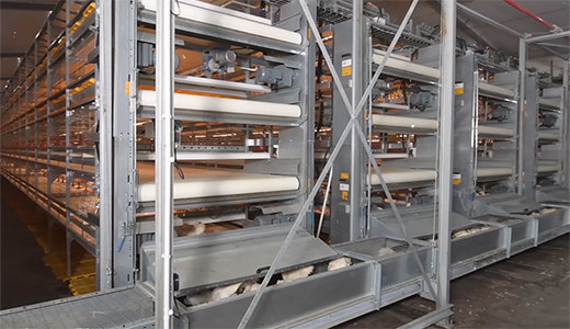 正大榆樹33萬肉雞場