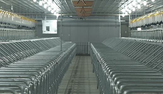 河南民權(quán)畢集6000種豬場