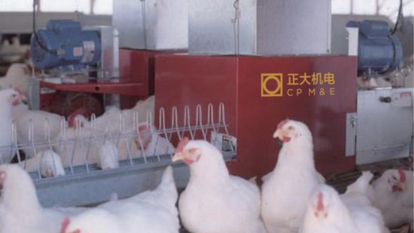 母雞鏈?zhǔn)轿沽?>
								</div>
								<div style=